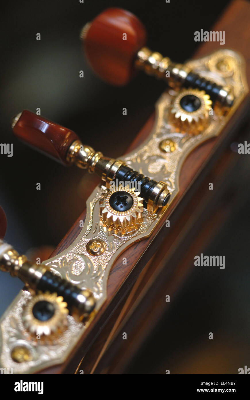 Tuning keys on violin Stock Photo Alamy