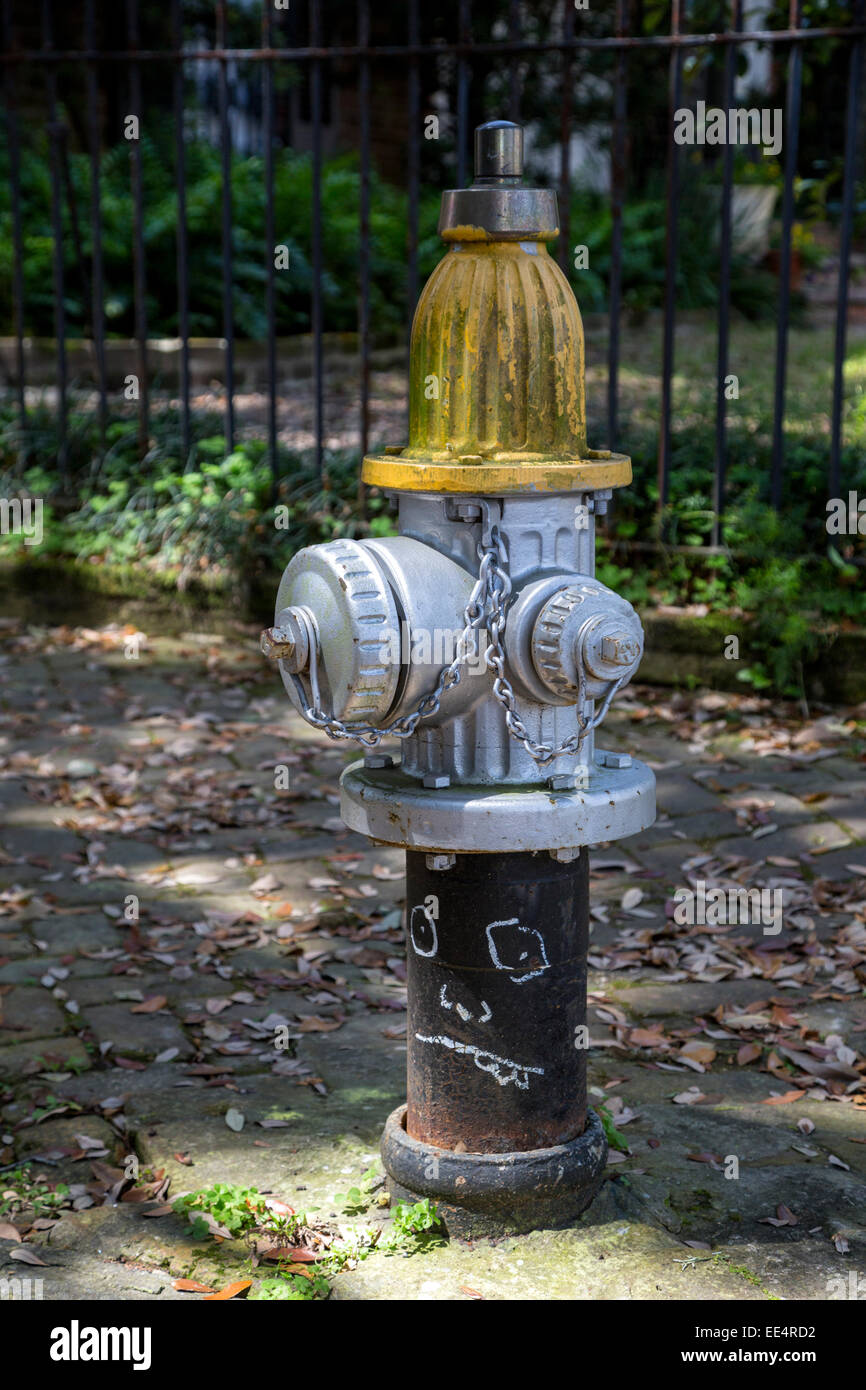 New Orleans, Louisiana.  Fire Hydrant, Garden District. Stock Photo