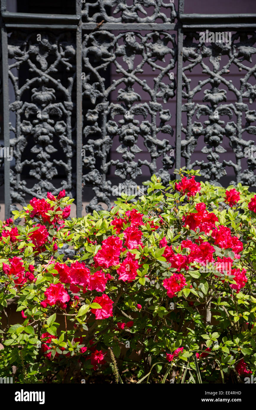 new orleans iron cad files new orleans iron cad files