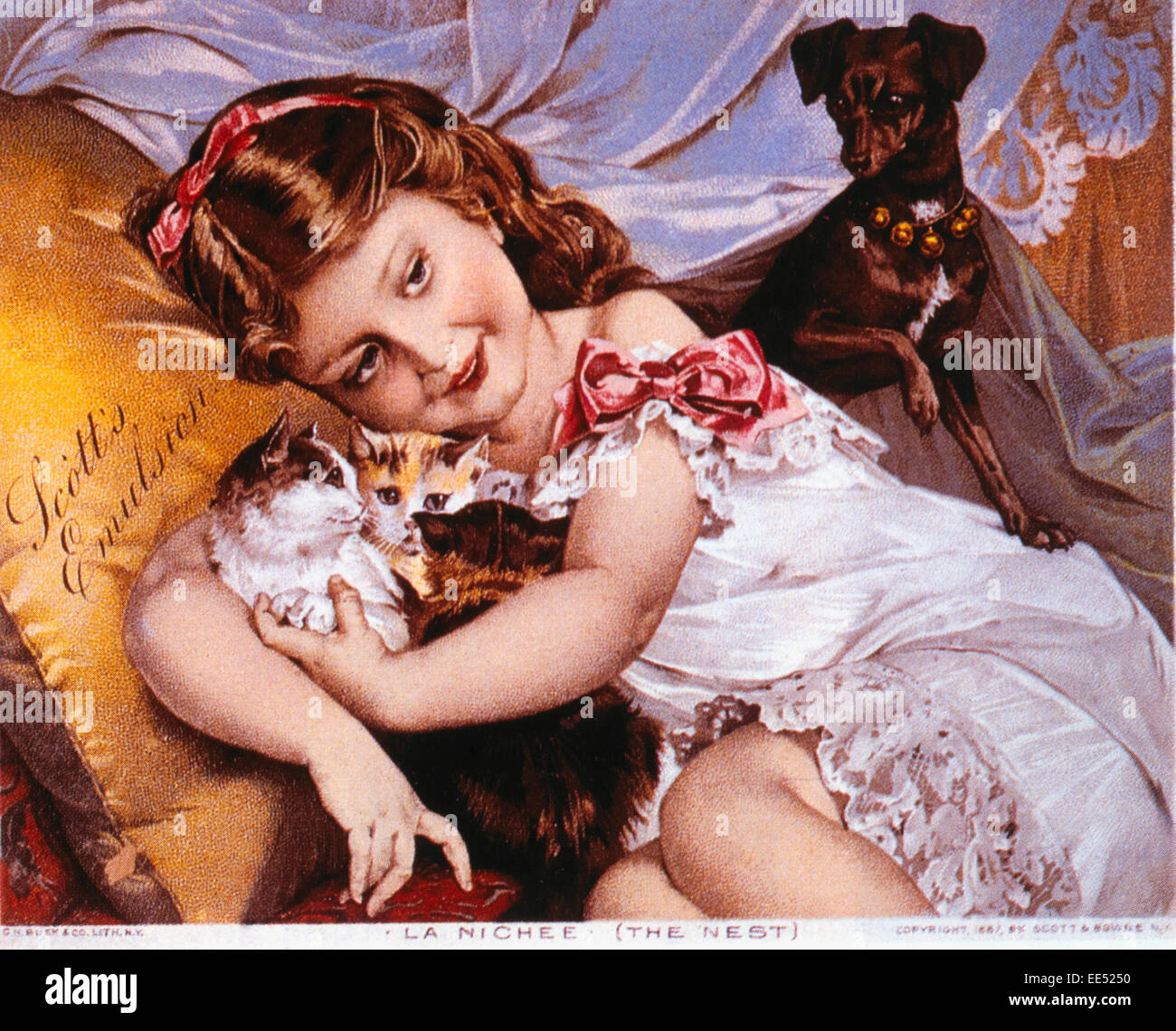 Girl Holding Kittens, Scott's Emulsion, G.M. Beck and Company, Trade Card, circa 1897 Stock Photo