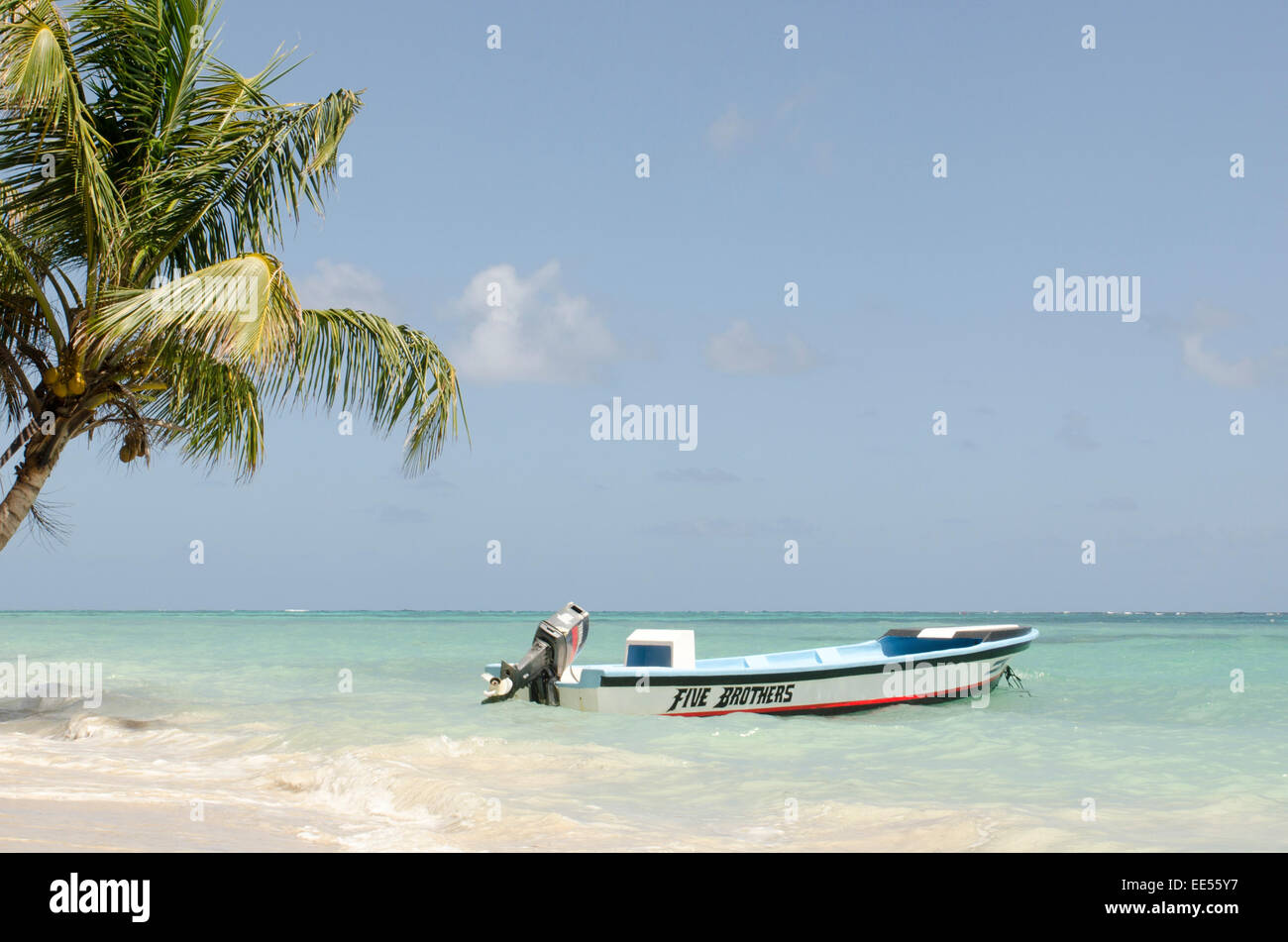 A fishing boat parked in the carabbean sea under a palm tree Stock ...