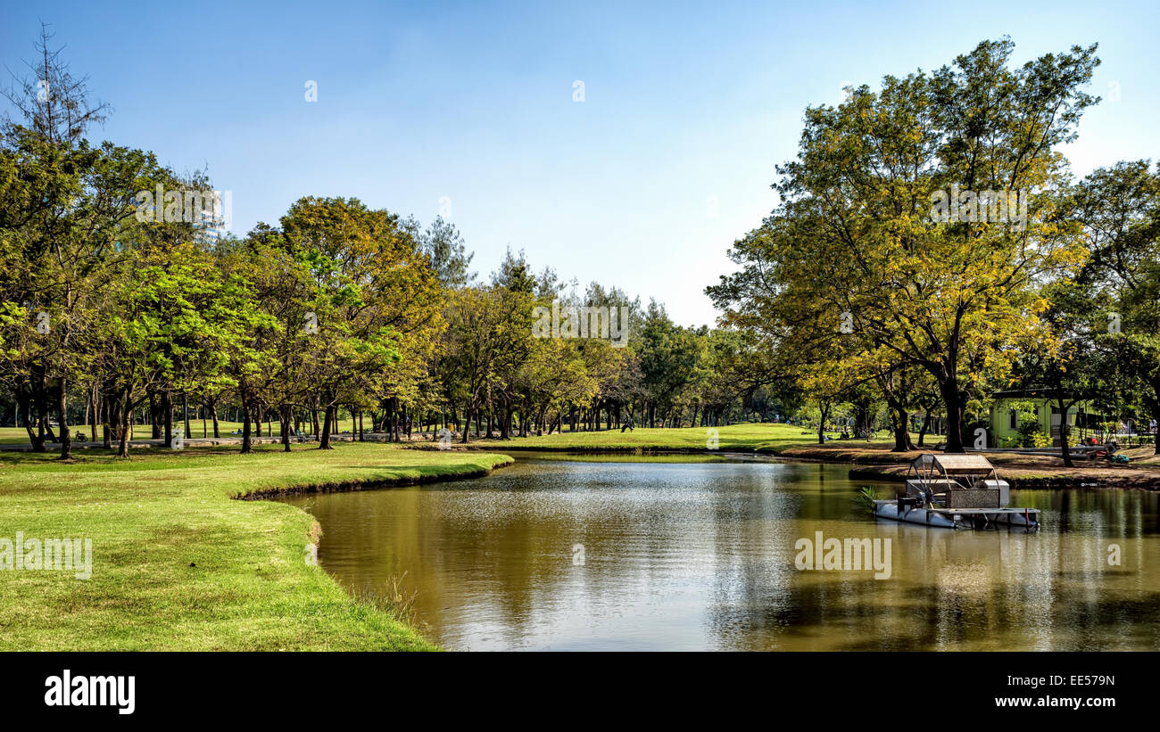 View of green trees in the city park Stock Photo - Alamy