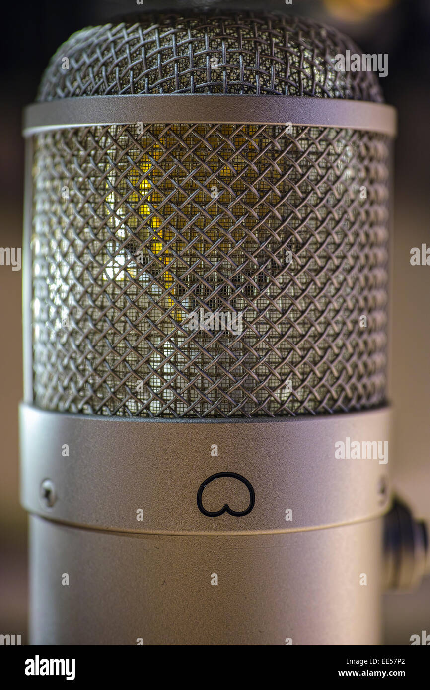 Large capsule studio microphone, Neumann U47fet "Collectors Edition