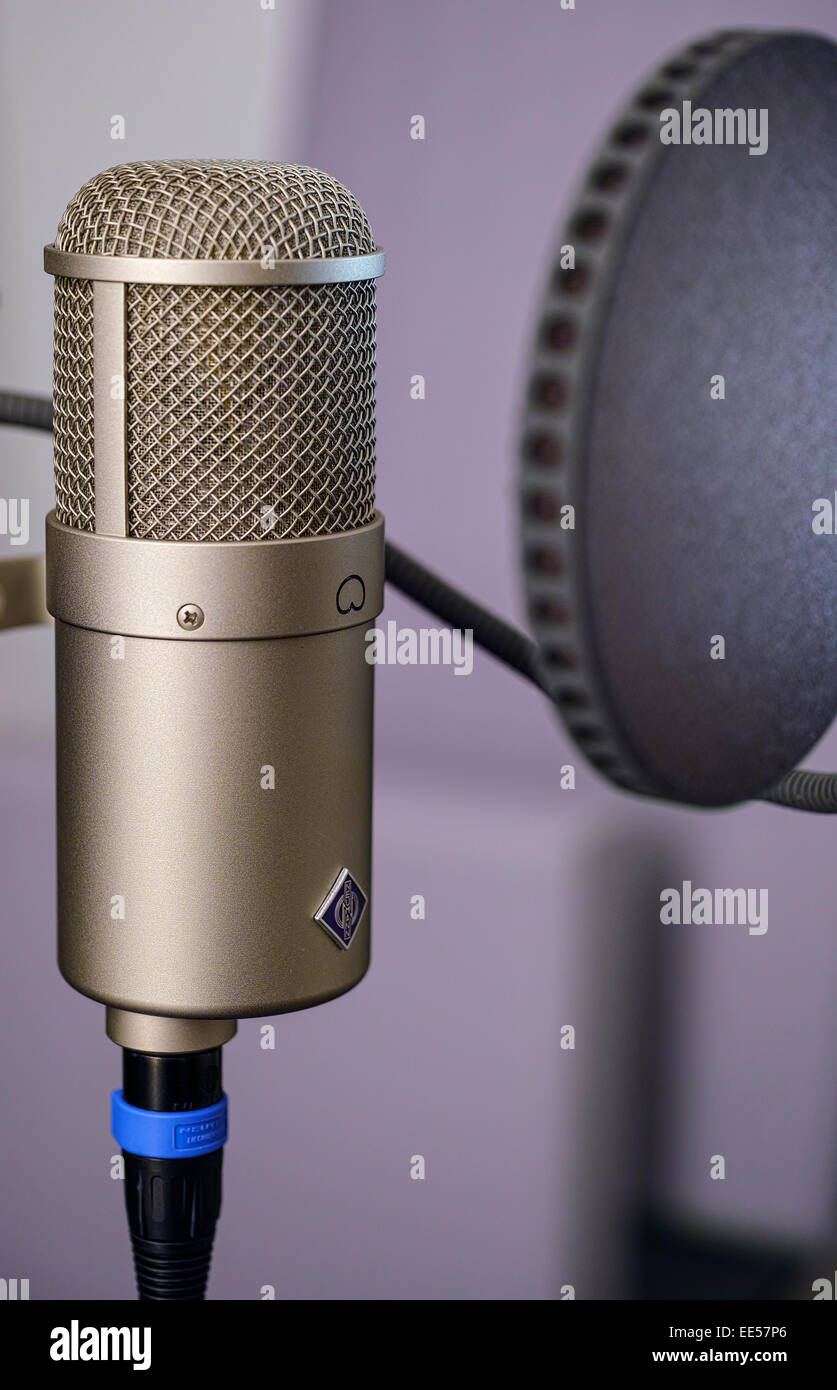 Large capsule studio microphone, Neumann U47fet "Collectors Edition" with pop  filter Stock Photo - Alamy