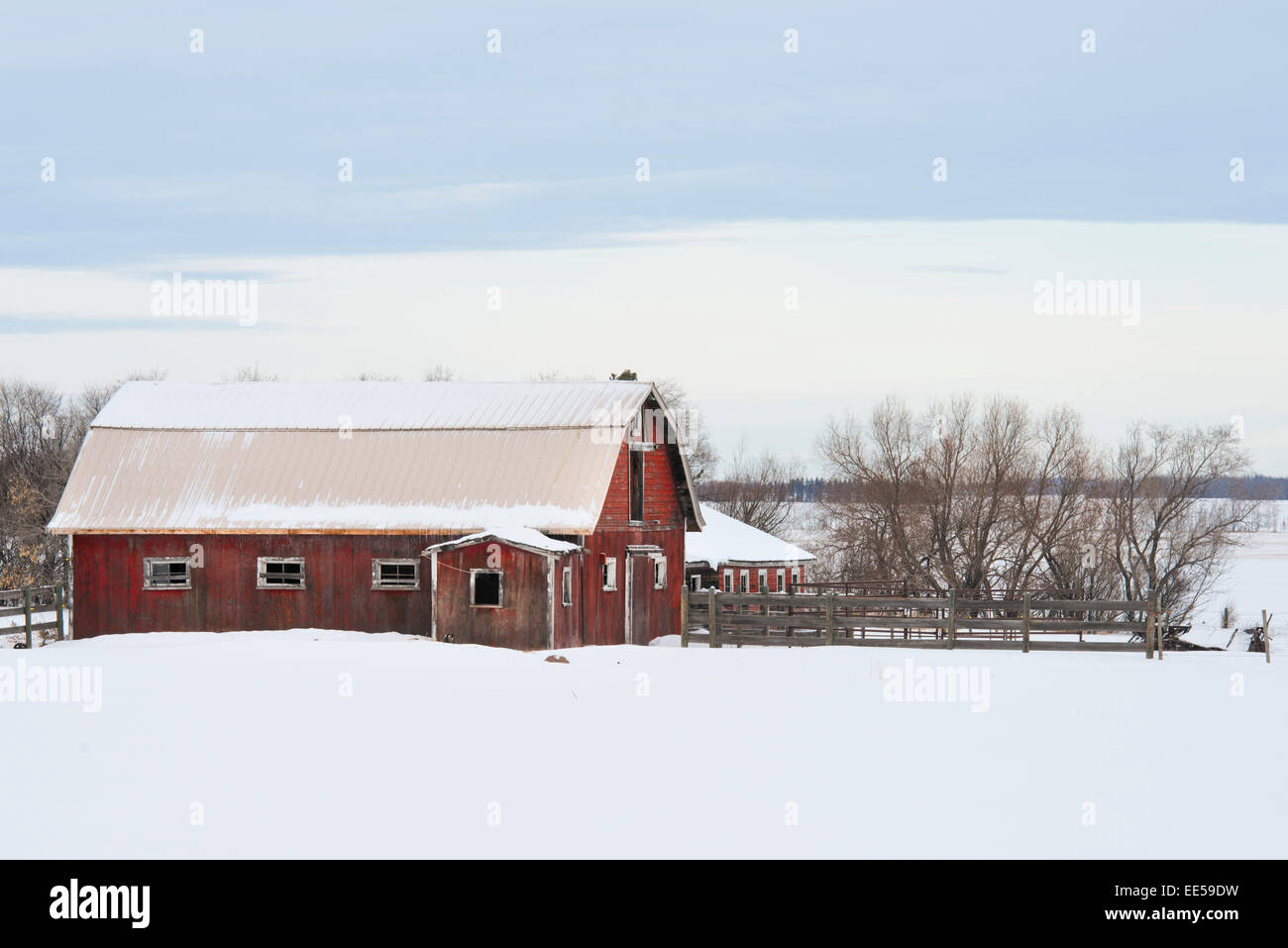 A red barn in Alberta. Stock Photo