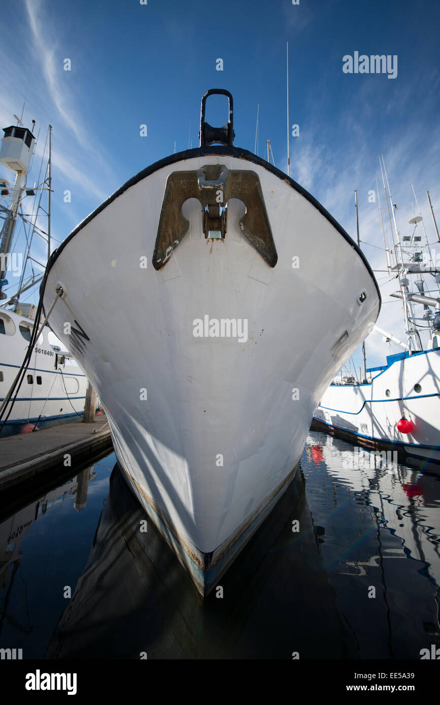 Commercial Fishing Boats, G Street Pier, San Diego Bay, San Diego