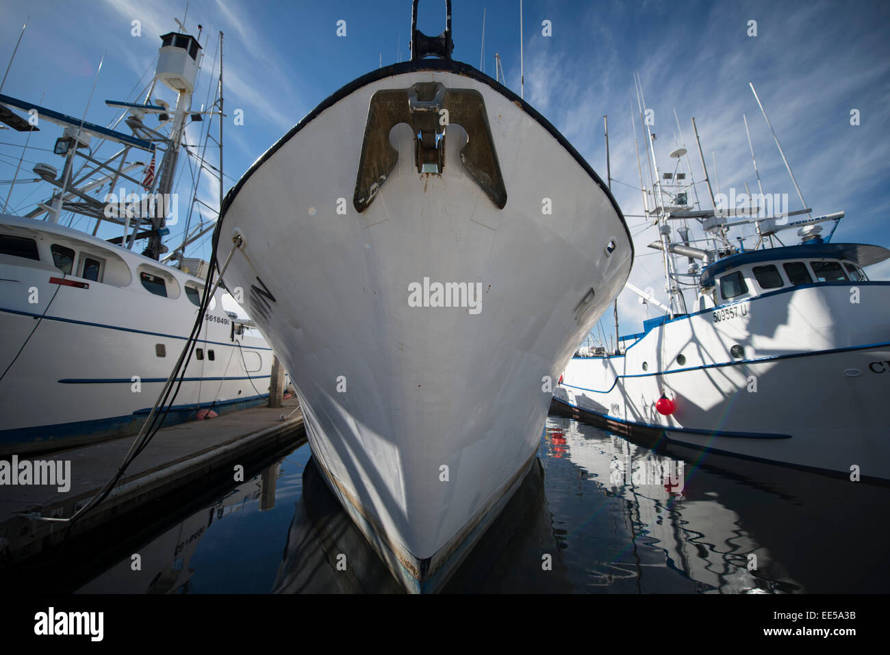 Commercial Fishing Boats, G Street Pier, San Diego Bay, San Diego