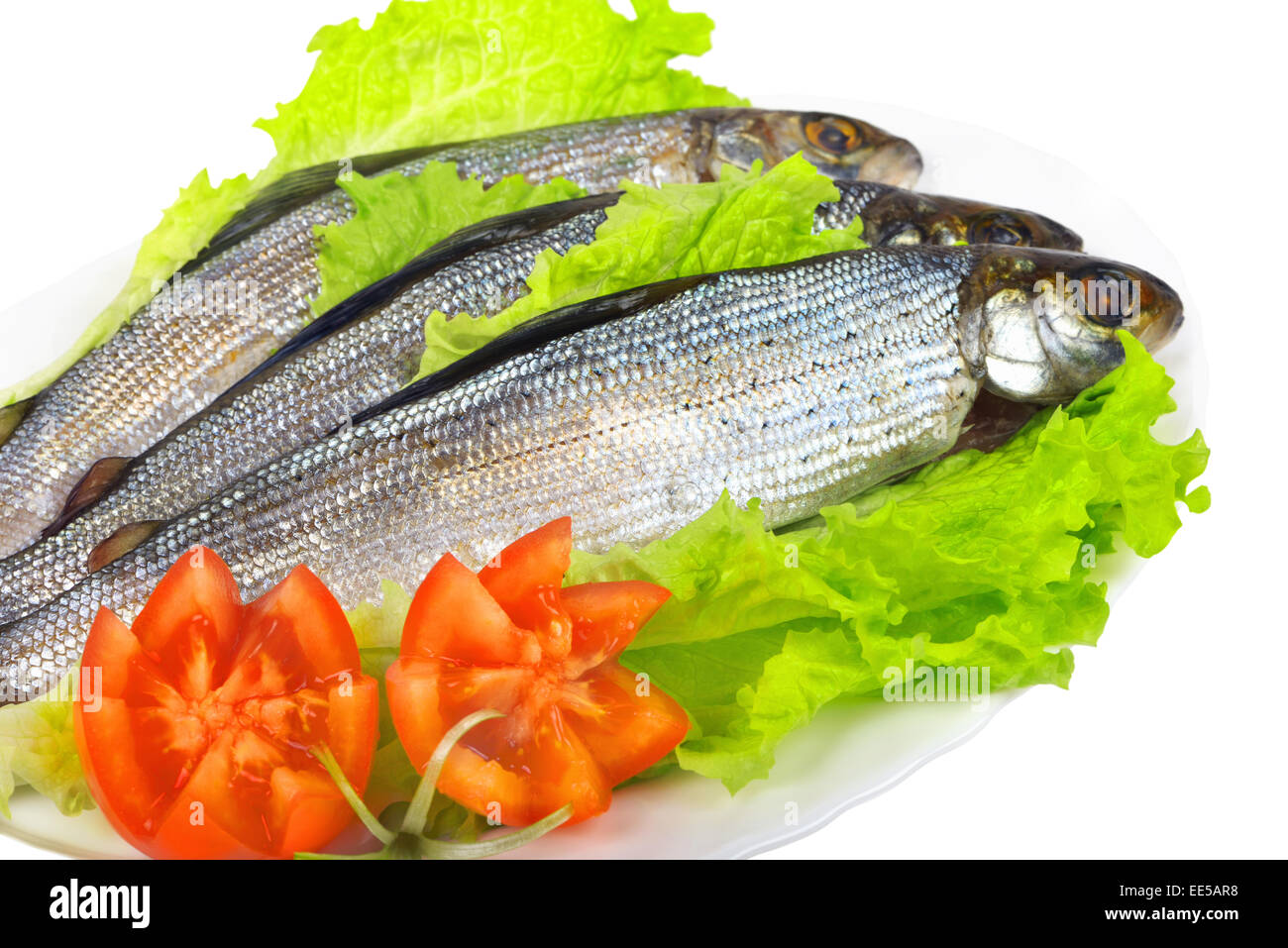 Grayling fish hires stock photography and images Alamy