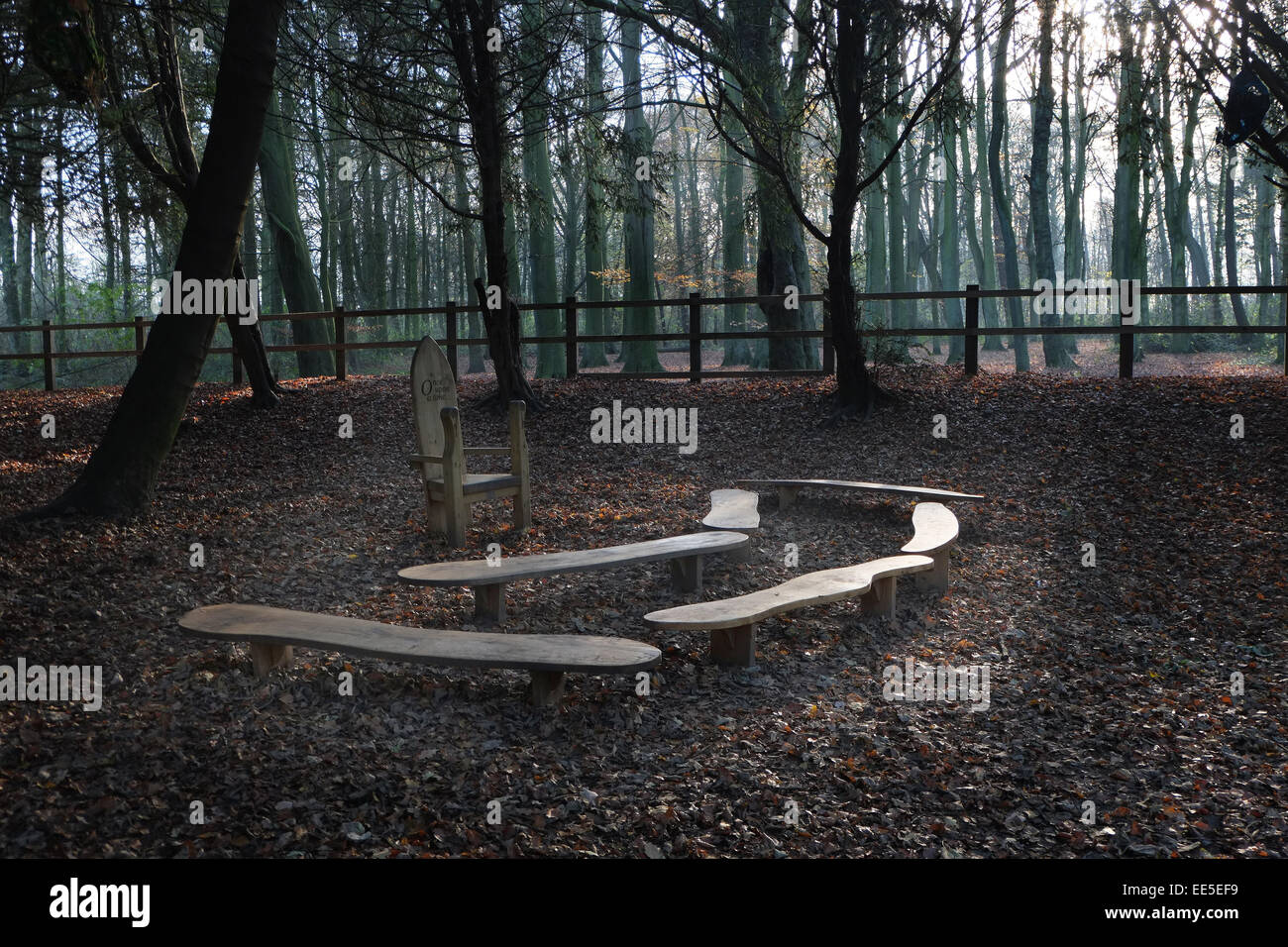 Teaching reading seating area in woodland Stock Photo Alamy