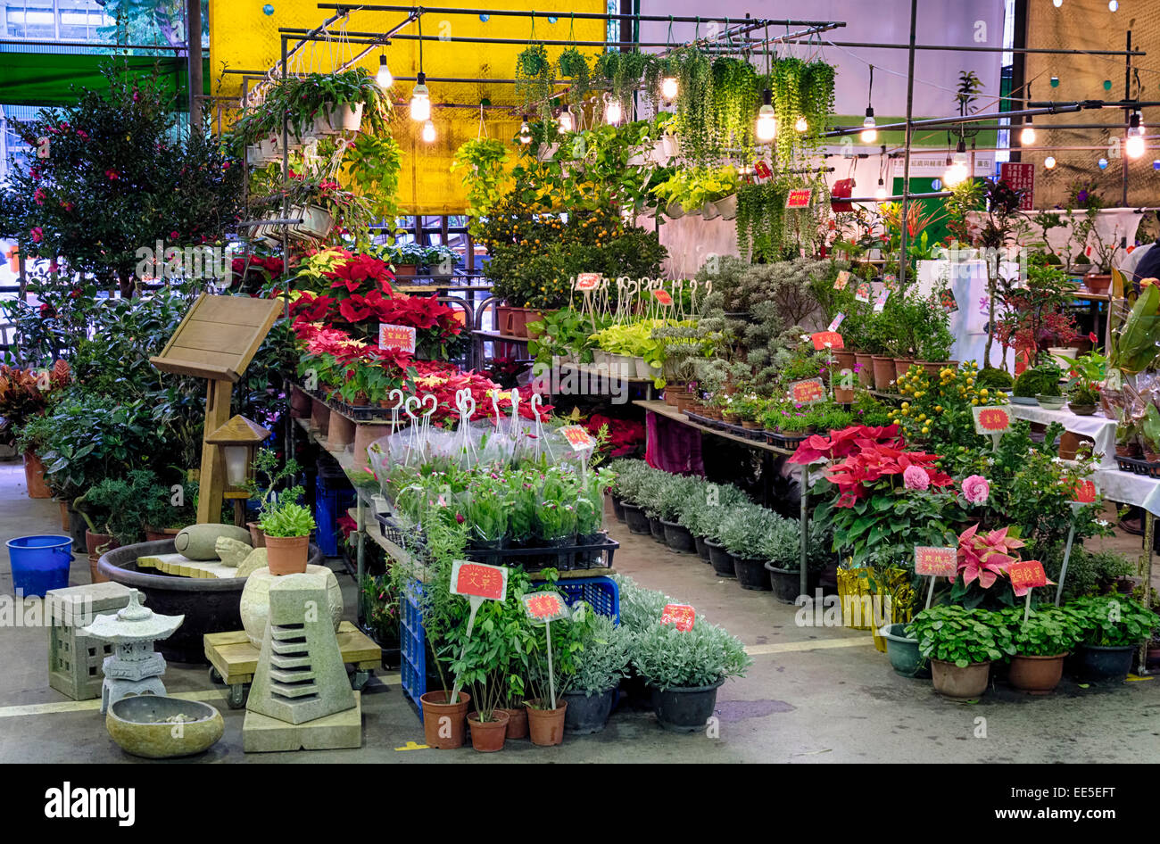 Jianguo Holiday Flower Market in Taipei Stock Photo Alamy