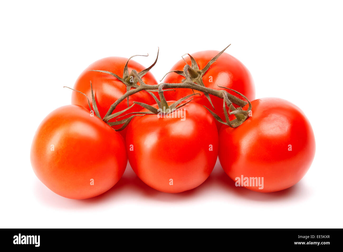branch of tomatoes on a white background Stock Photo - Alamy