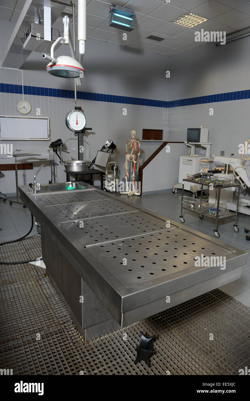 Autopsy table at the morgue Stock Photo - Alamy