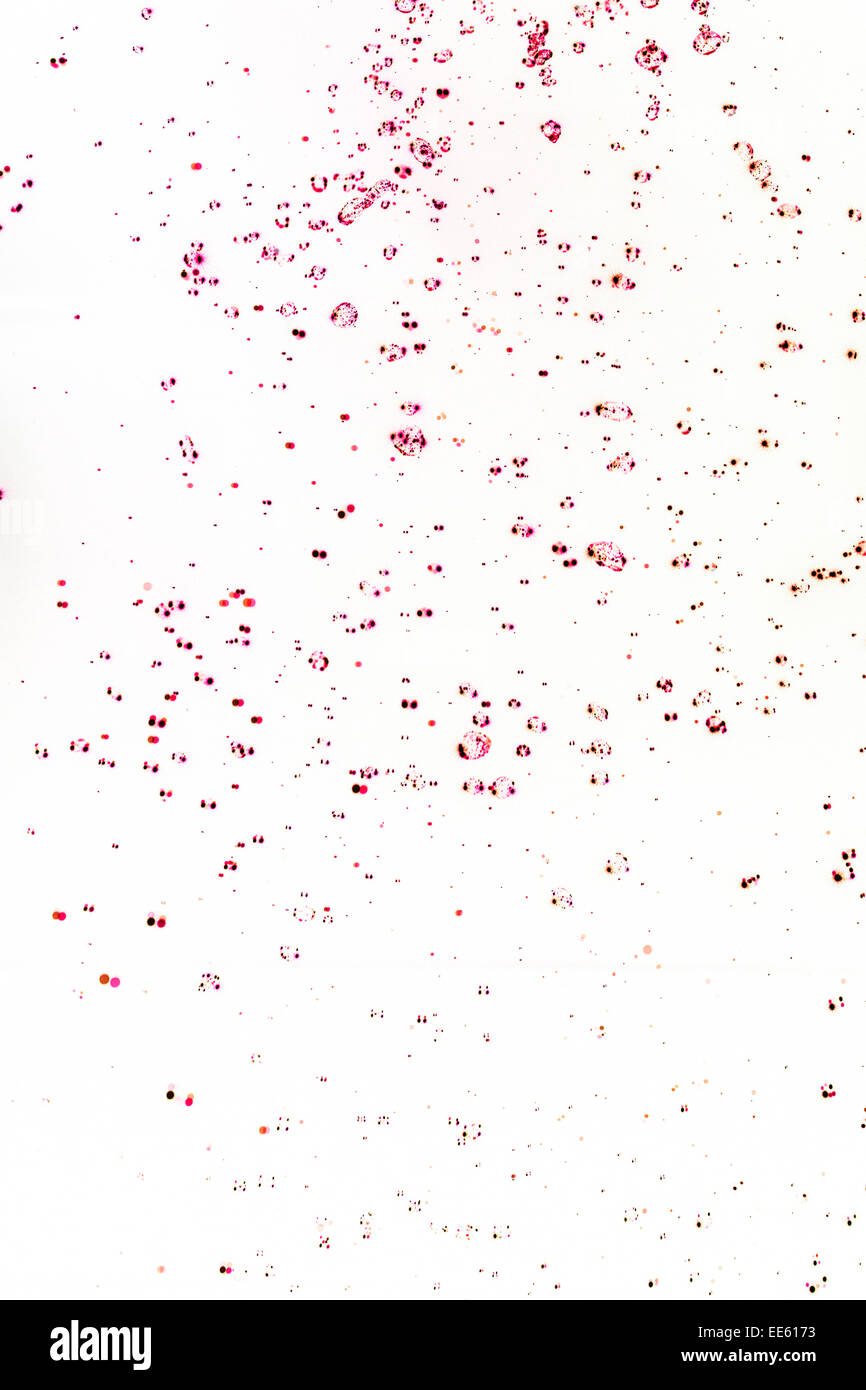 Abstract paint splatter Stock Photo - Alamy