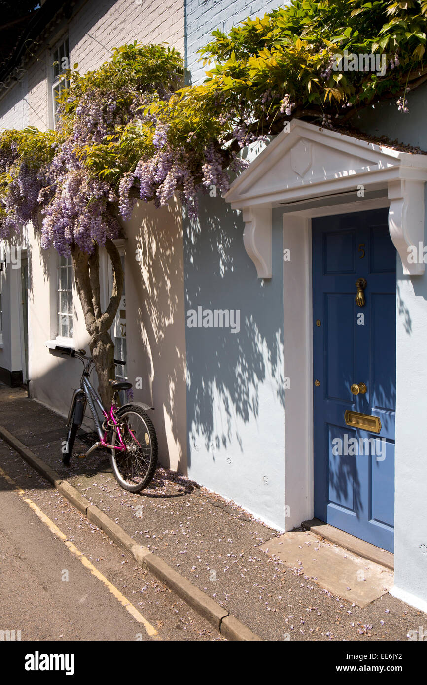 UK, London, Twickenham, Ferry Road, wisteria hung terraced cottage door Stock Photo