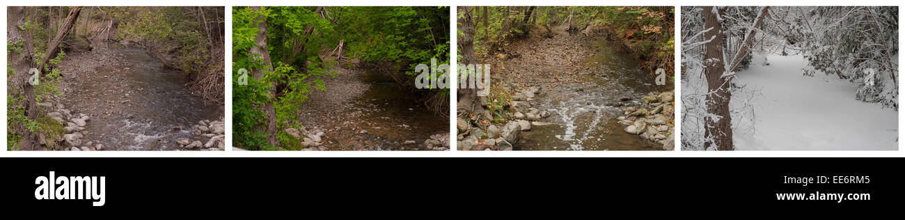 Four seasons illustrating the same scene. A river runs through the landscape in spring, summer, fall and winter. Quadriptych Stock Photo