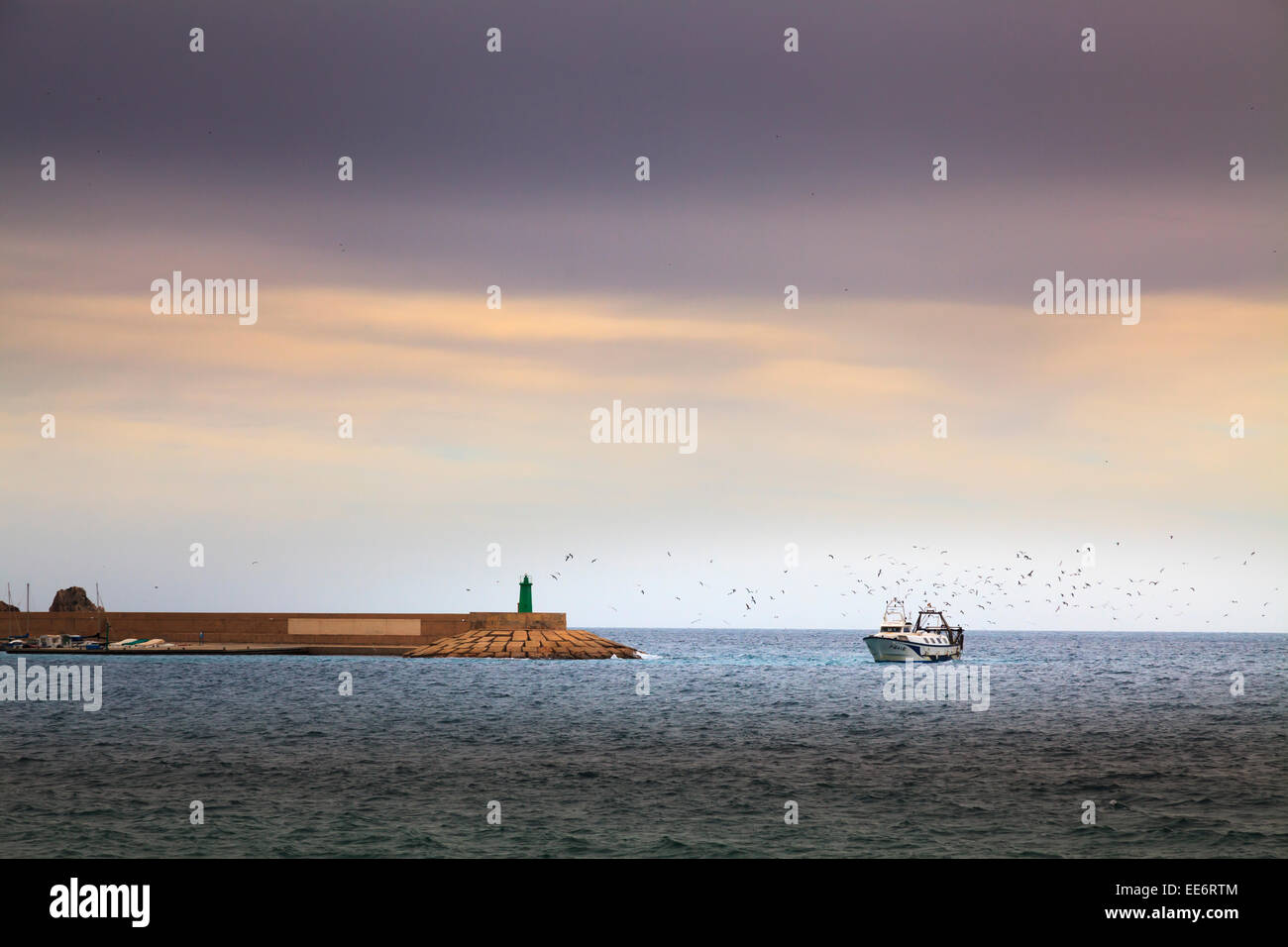 Fishing trawler returning to Javea harbour at the end of the day surrounded by sea birds Stock Photo