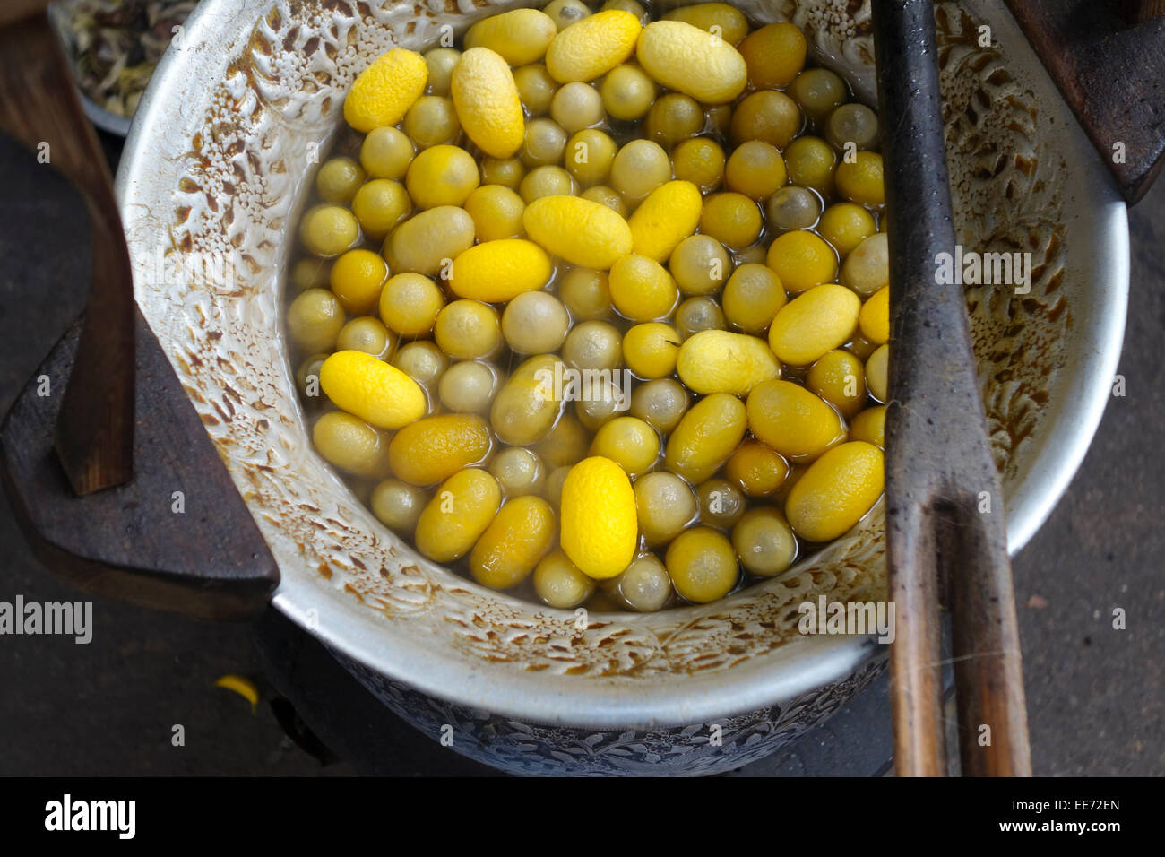 Yellow Silk cocoons & spool at Jim Thompson House, Thai silk, Bangkok, Thailand, Southeast Asia. Stock Photo