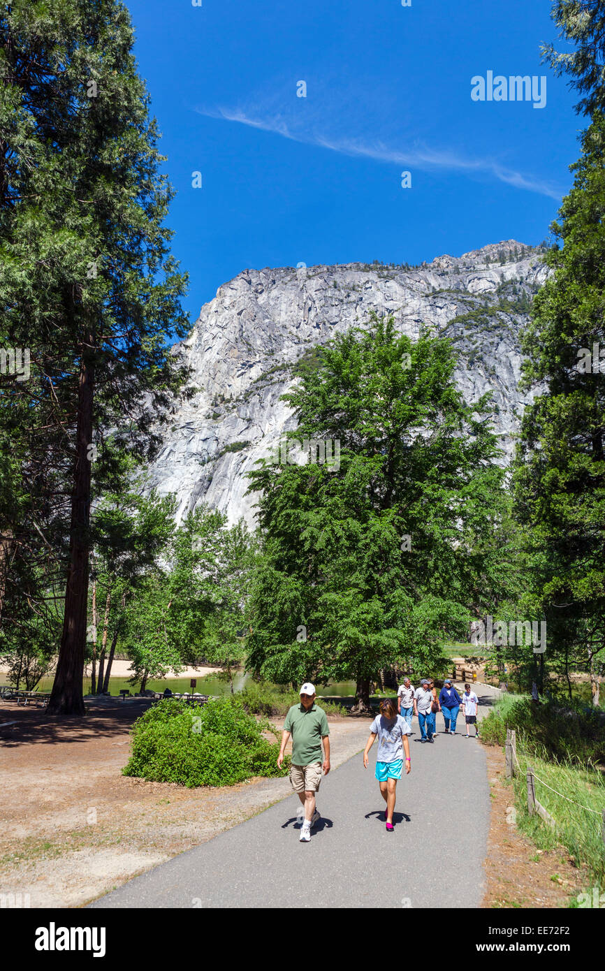 Trail At Swinging Bridge Picnic Area In Yosemite Valley