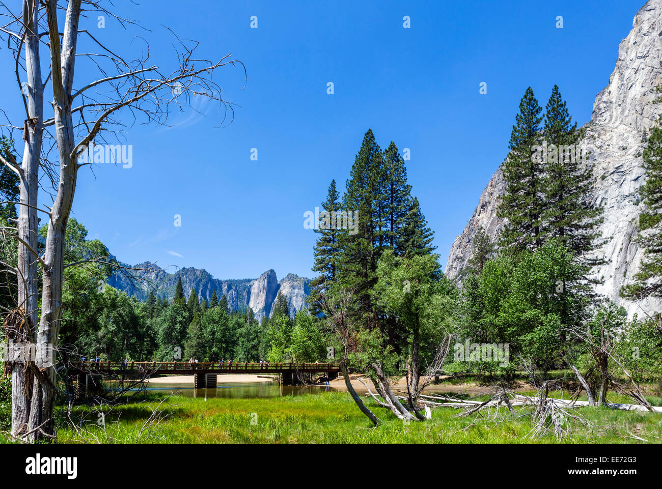 Swinging Bridge Across Merced River Yosemite Valley