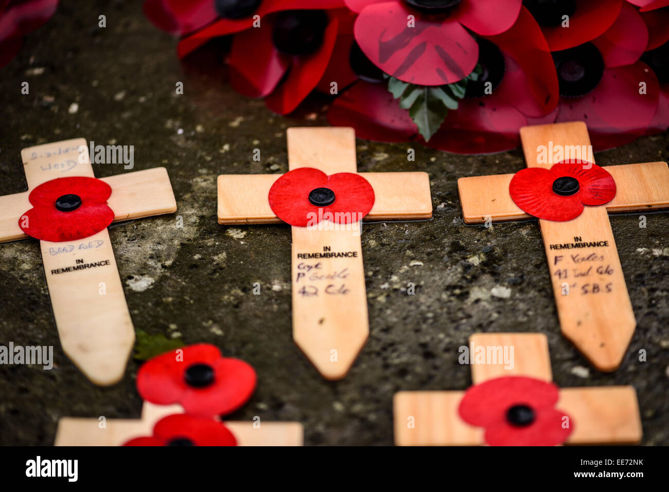 Five crosses in front of a poppy wreath at a UK Memorial to remember the war dead. Stock Photo