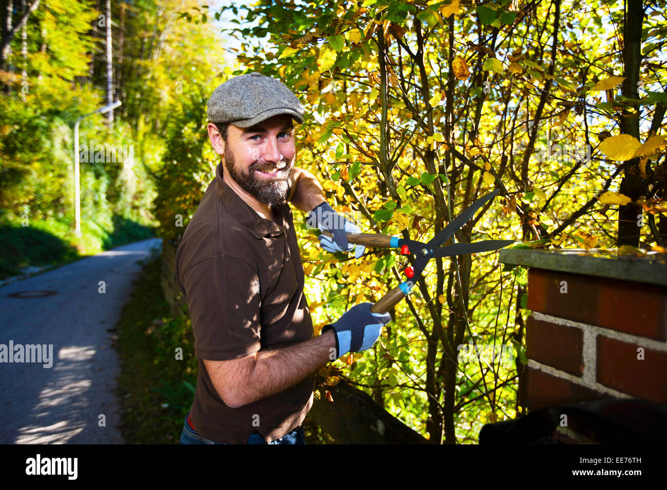 Man trimming plants by garden fence, Munich, Bavaria, Germany Stock ...