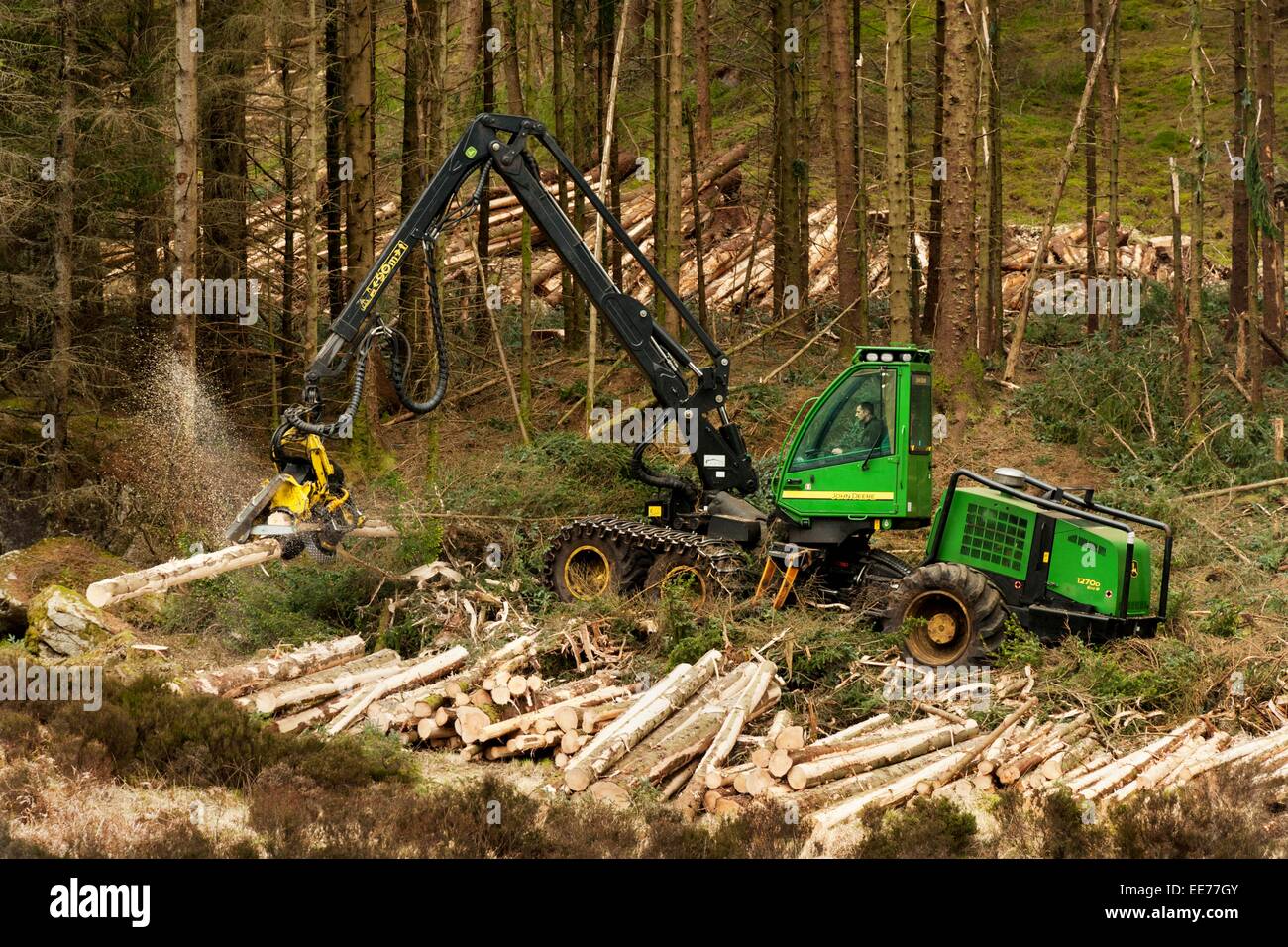 John Deere 1270D Harvester felling timber in a forest in western Scotland.  An example of machinery for harvesting softwood. Stock Photo