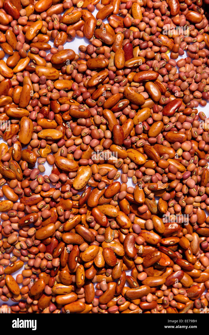 kidney bean background Stock Photo