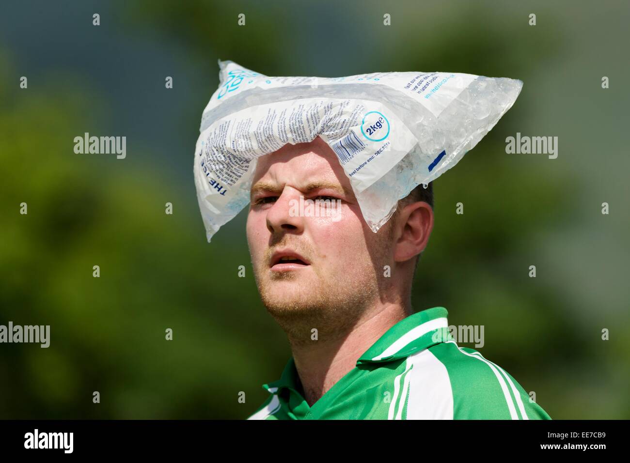 Beauly player tries to cool down in the heat of the day by placing a bag of icecubes on his head.  Balliemore Cup Final 2013. Stock Photo