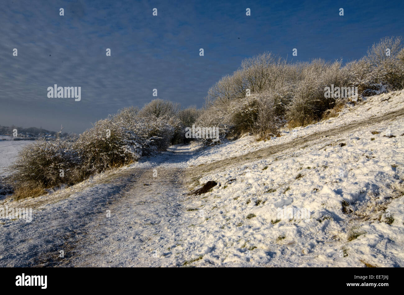 Penshaw Monument Snow Hi res Stock Photography And Images Alamy penshaw-monument-snow-hi-res-stock-photography-and-images-alamy