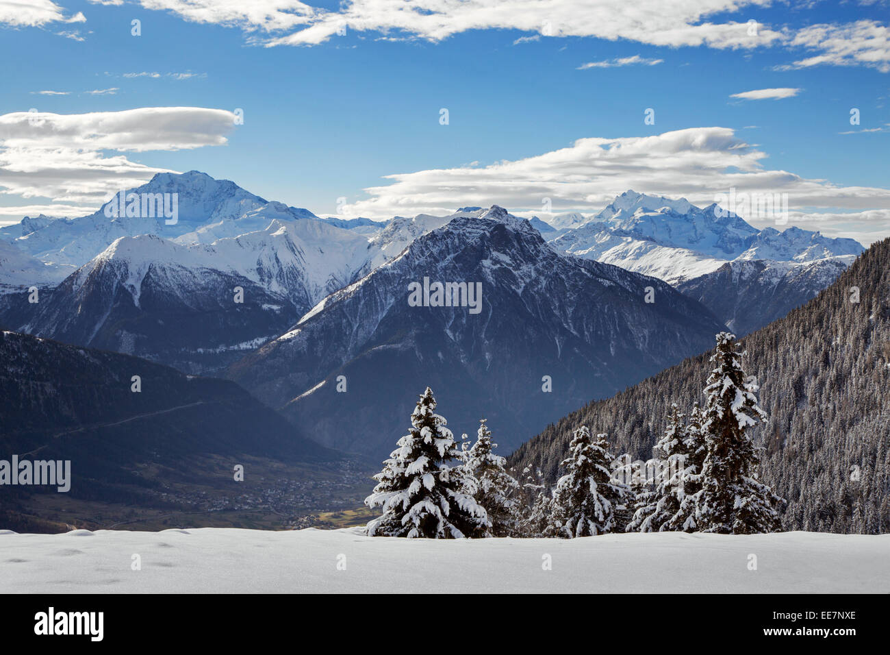 Mountains seen from Riederalp and snow covered spruce trees in winter in the Swiss Alps, Wallis / Valais, Switzerland Stock Photo