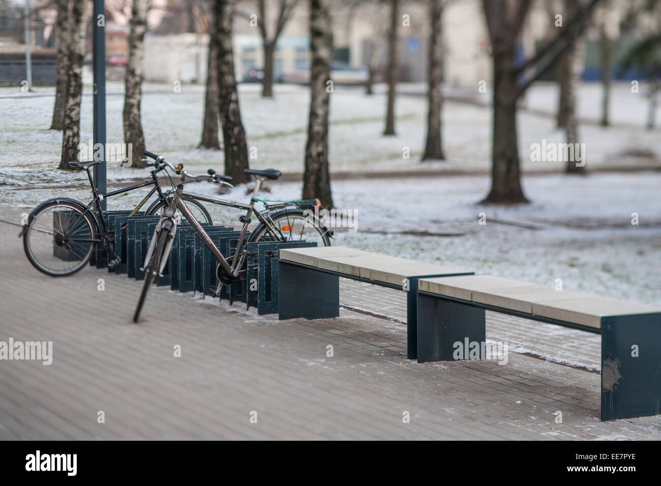 Benches And Bicycle Parking Office Building Stock Photo 77618338