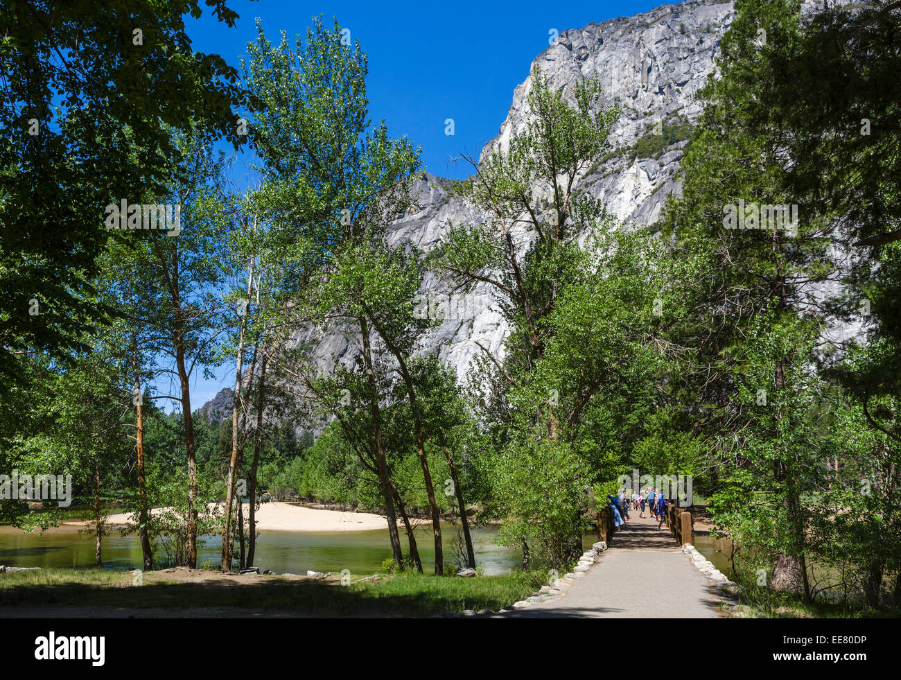 Swinging Bridge Across Merced River Yosemite Valley