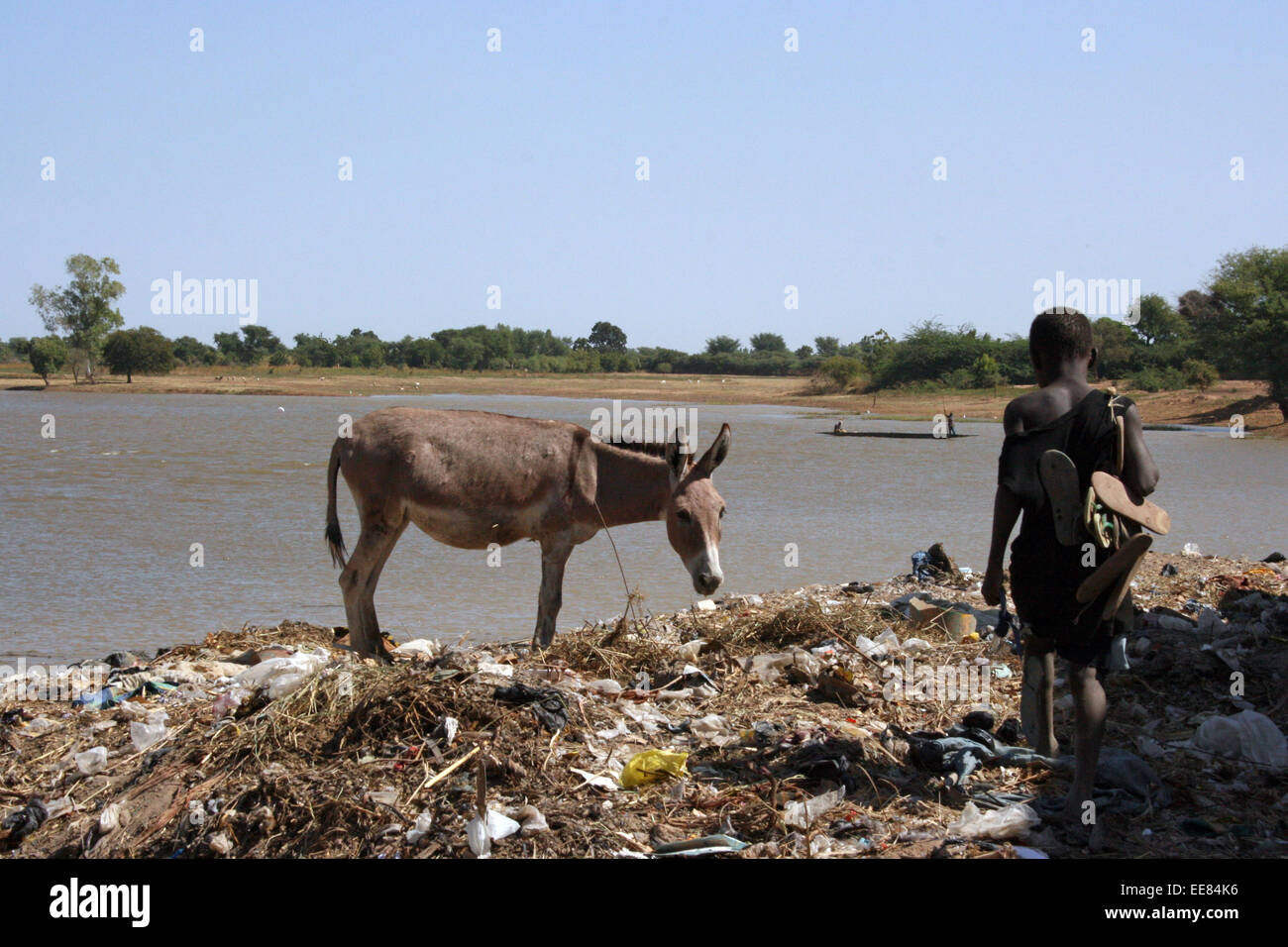 A donkey stares at a boy walking across a rubbish tip in Djenne, Mali Stock Photo