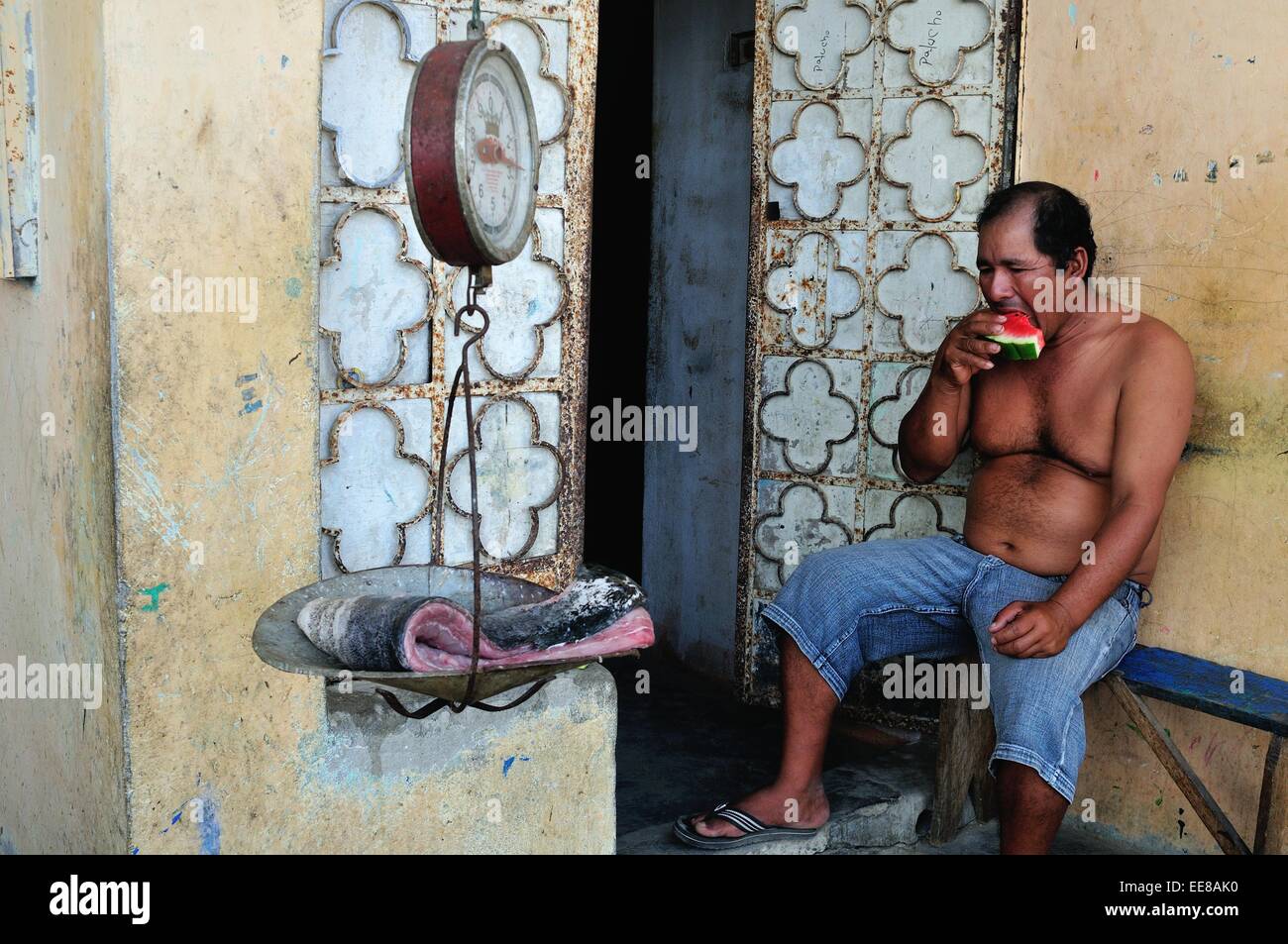 Perico tropical hi-res stock photography and images - Alamy