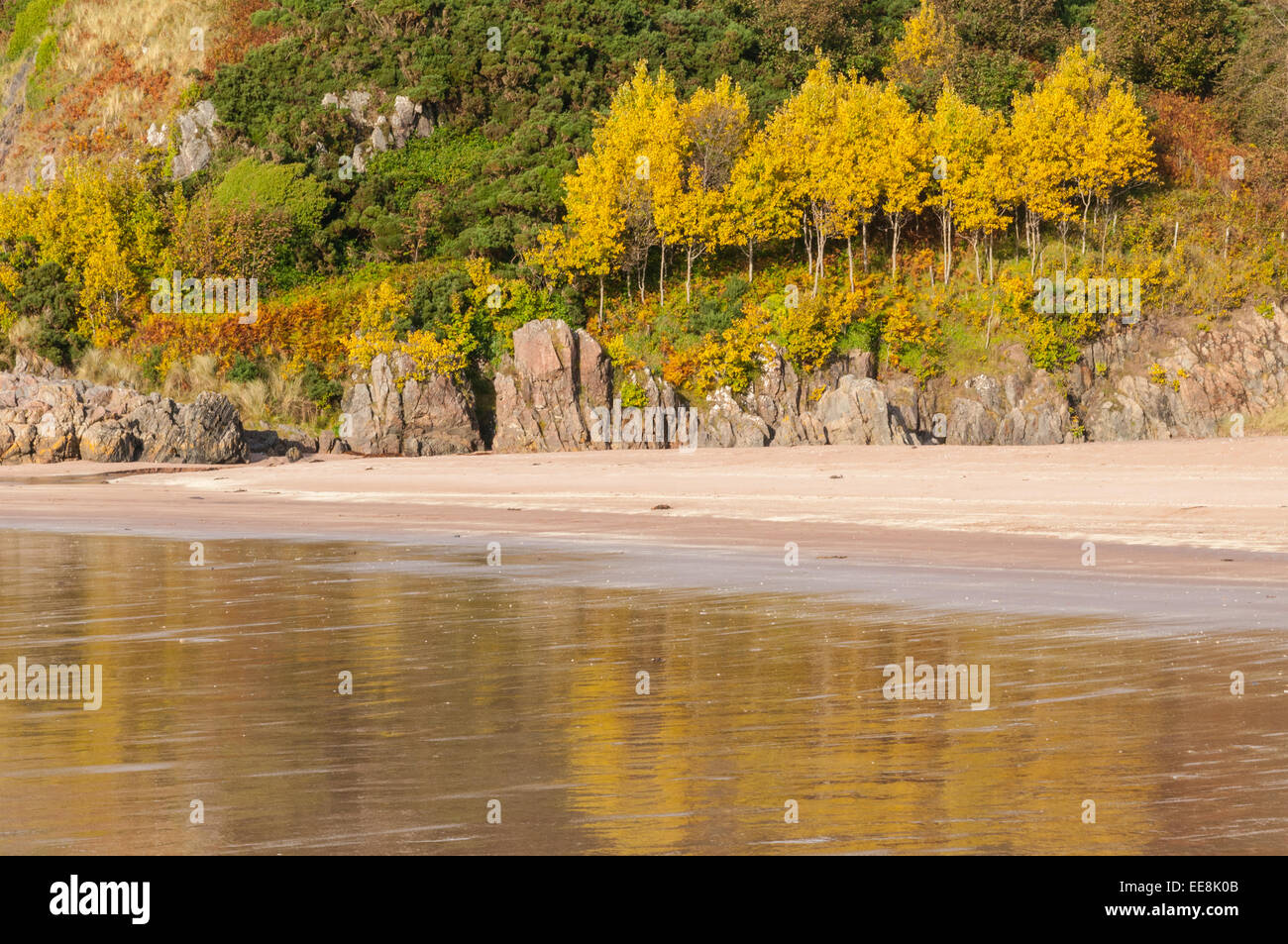 Autumn colours beside Gailroch Beach Gairloch Ross & Cromarty Highland Scotland Stock Photo