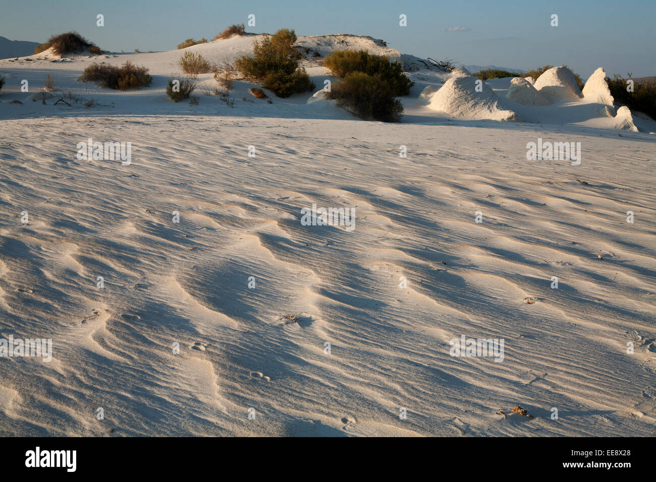 White sand at the area known as The White Dunes, or Dunas de Yeso, at Cuatro Ciénegas, Mexico. Stock Photo