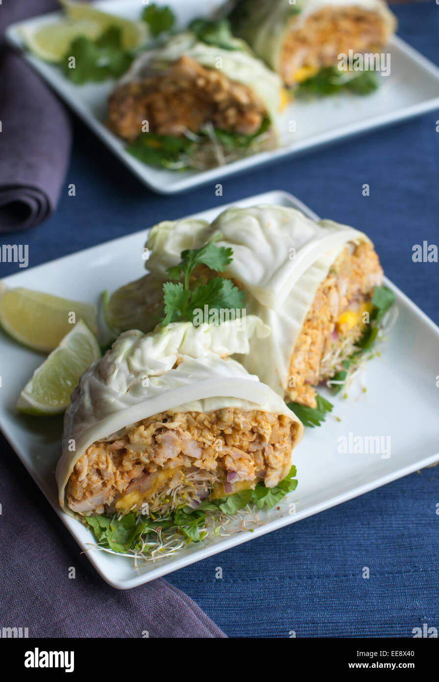 Cabbage wrap with curry chicken Stock Photo Alamy