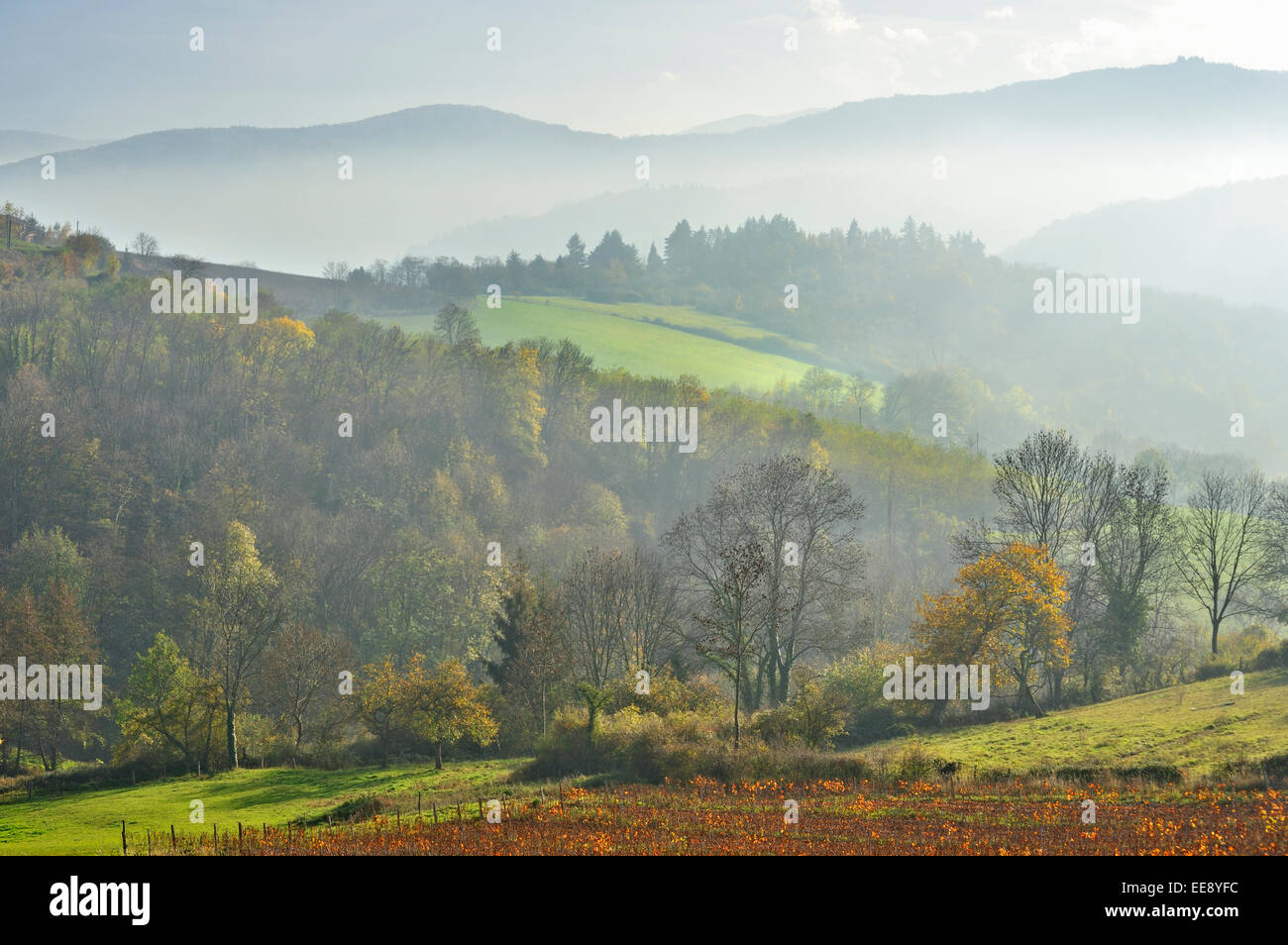 Beaujeu rhone hi-res stock photography and images - Alamy