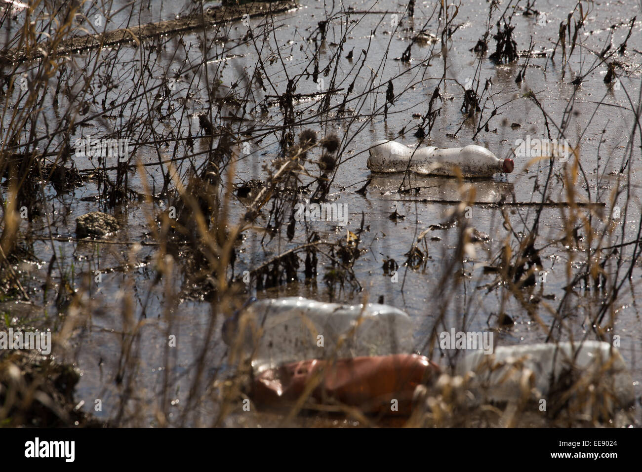 Bottles and trash in the river Stock Photo