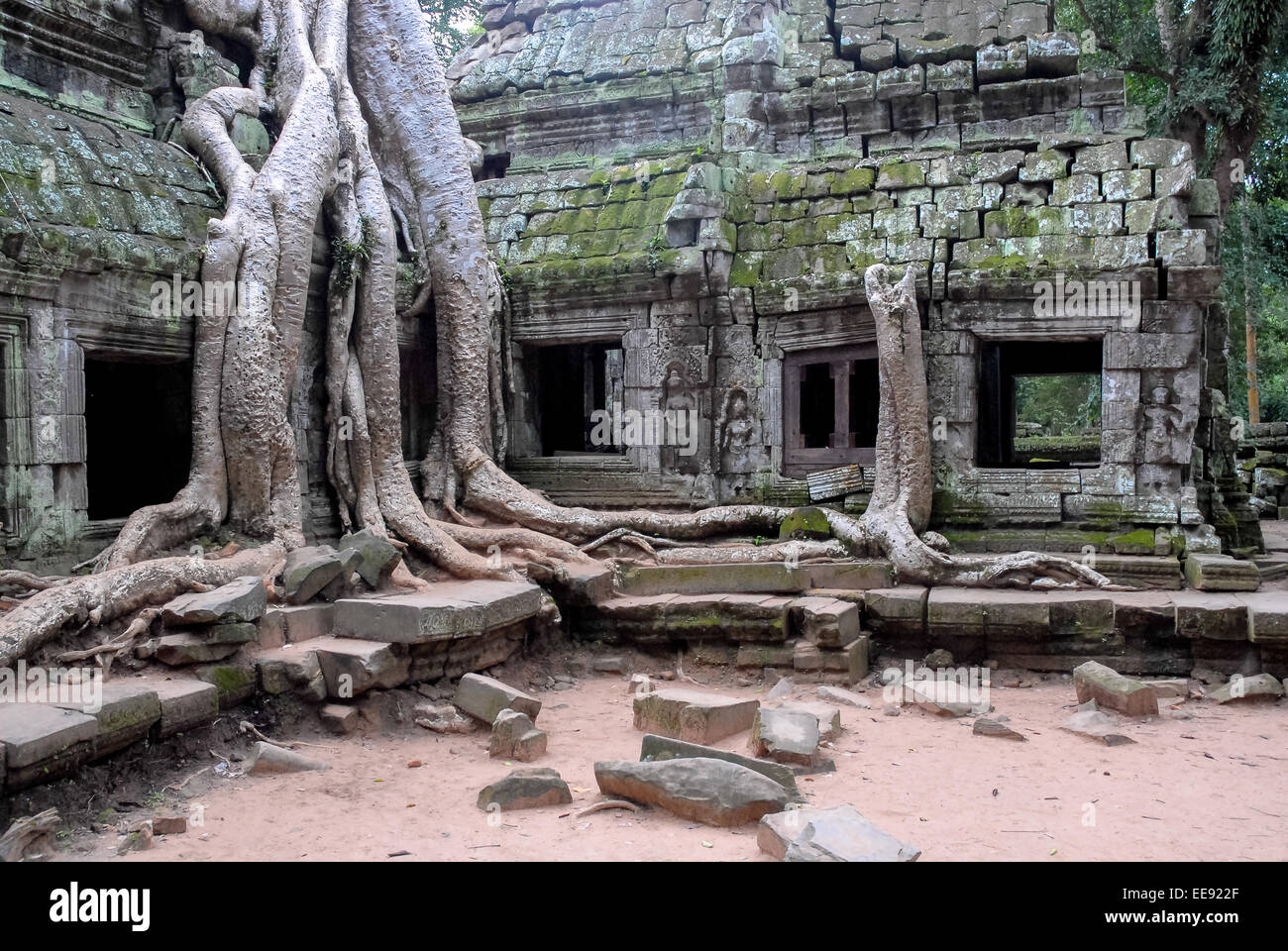 Ruins ta prohm cambodia hi res stock photography and images Alamy