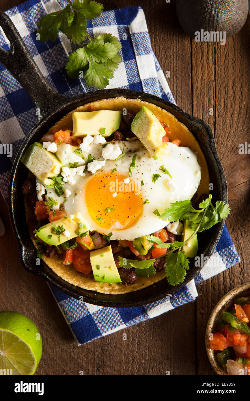 Homemade Heuvos Rancheros with Avocado and Cilantro Stock Photo