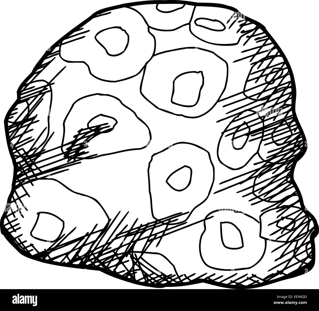 Igneous rock specimen white background Black and White Stock ...