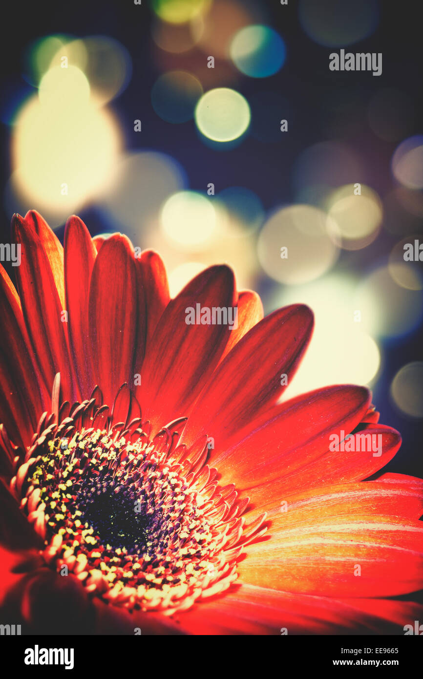 Abstract floral backgrounds with beaty bokeh Stock Photo