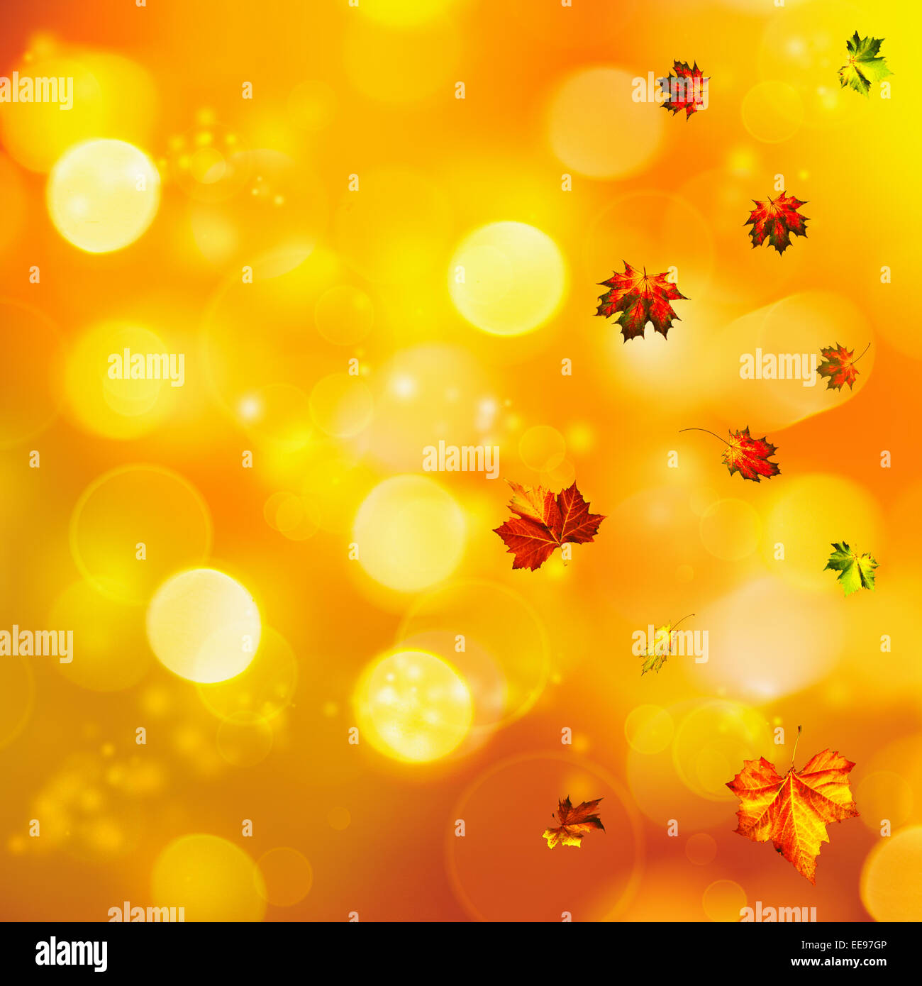 Decorative eco backgrounds hi-res stock photography and images - Alamy