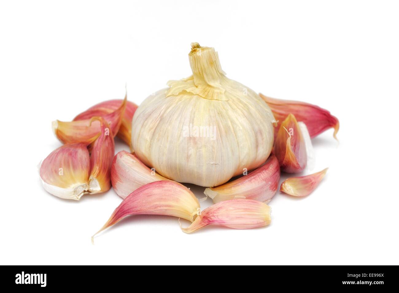 Garlic bulb and cloves on a white studio background Stock Photo - Alamy