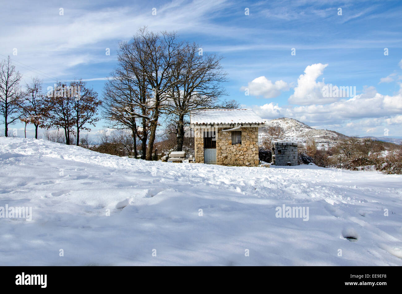 A snowy park with a barbecue of stones, some huge tree and blue sky with sun Stock Photo