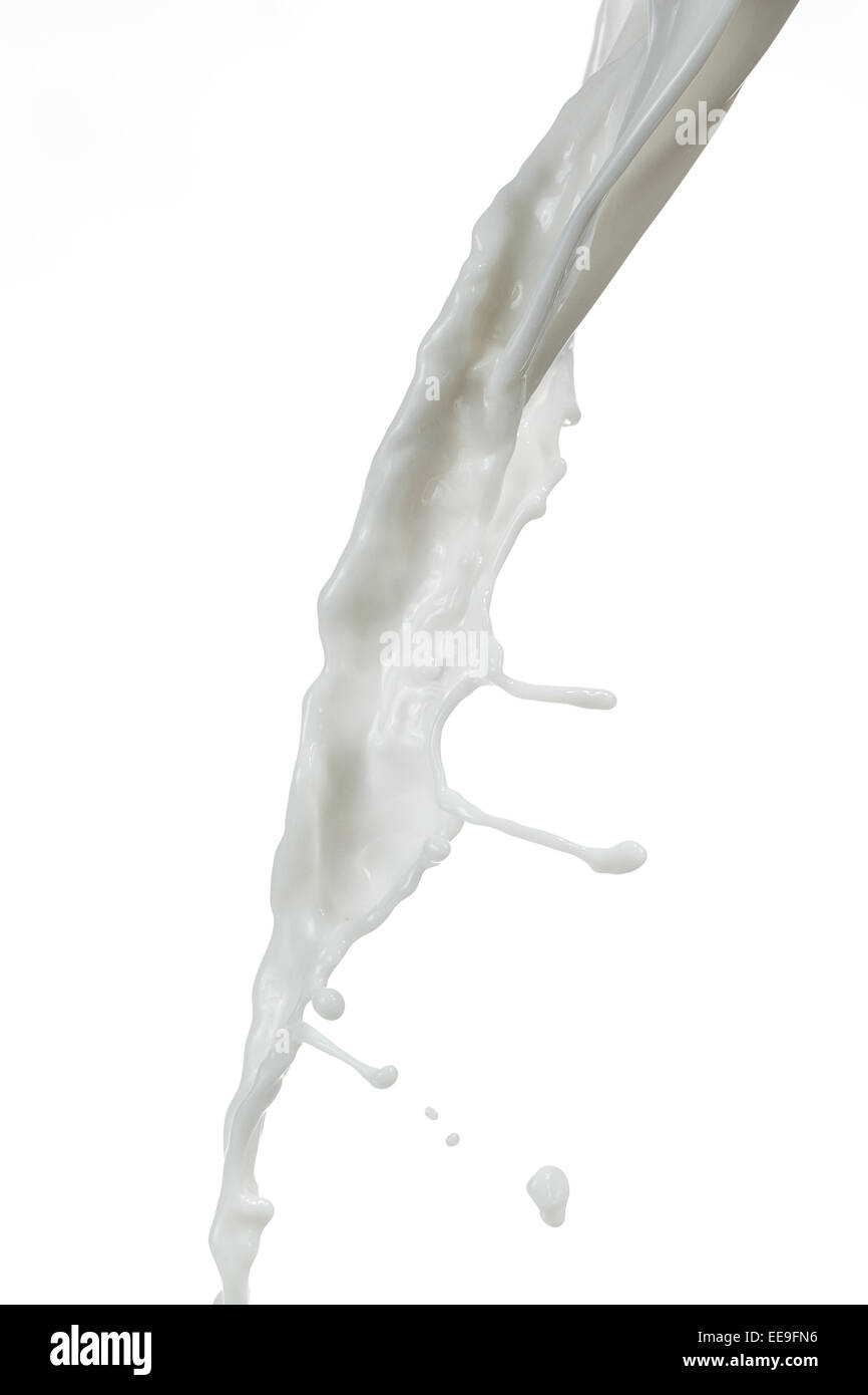 Milk splash on white background Stock Photo - Alamy