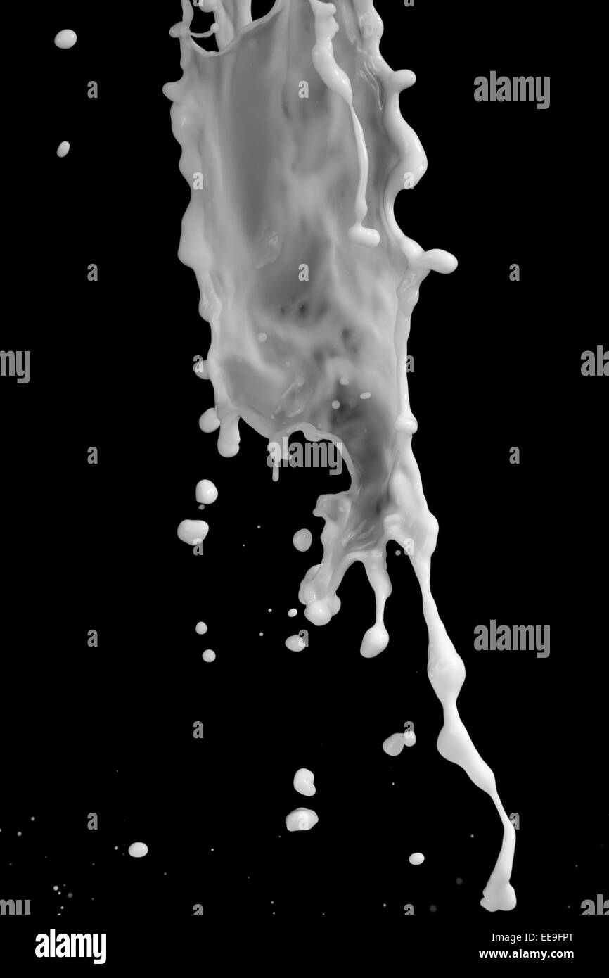 milk or white liquid splash on black background Stock Photo Alamy