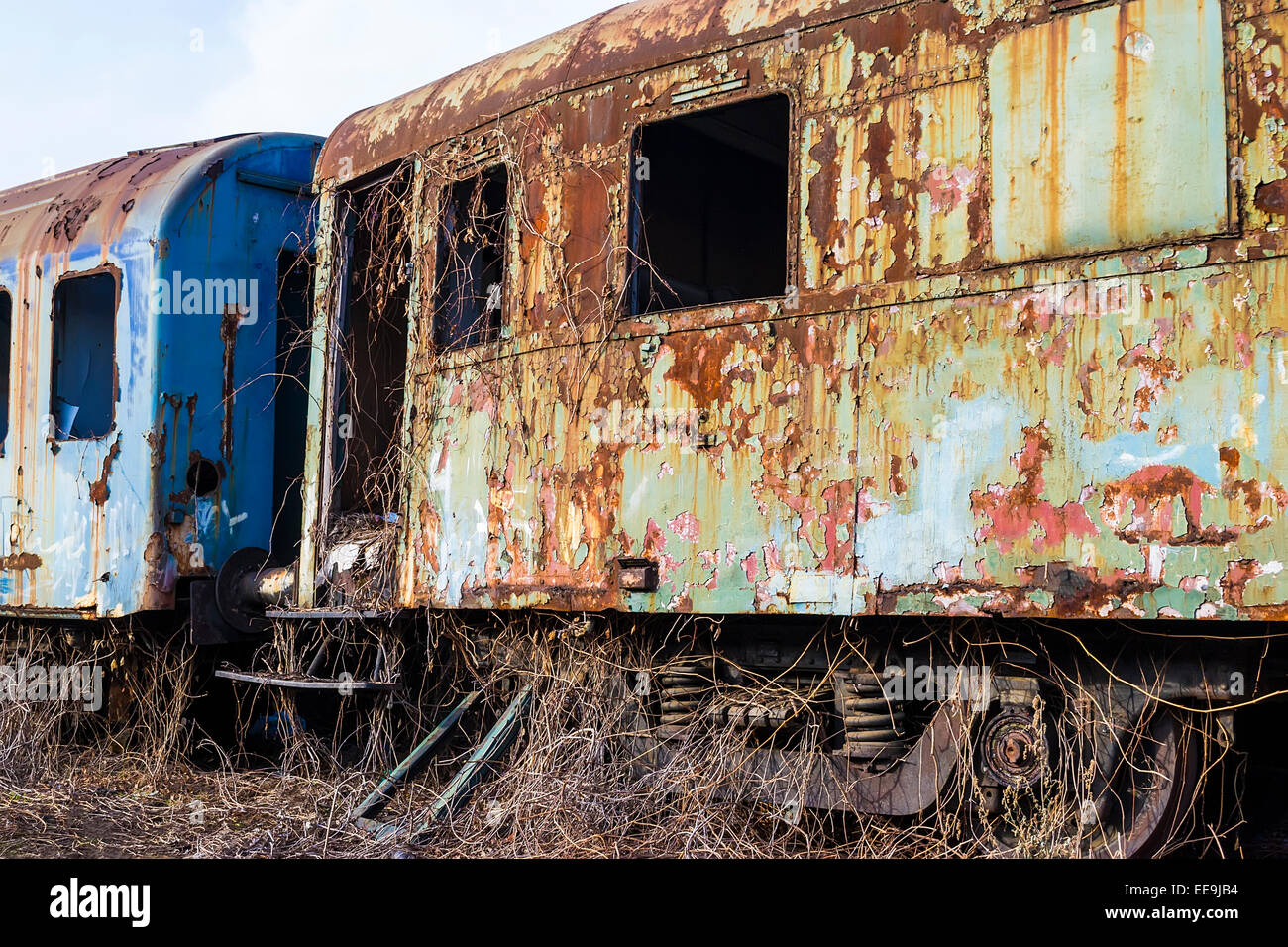 Abandoned passenger cars invaded by rust and vegetation Stock Photo