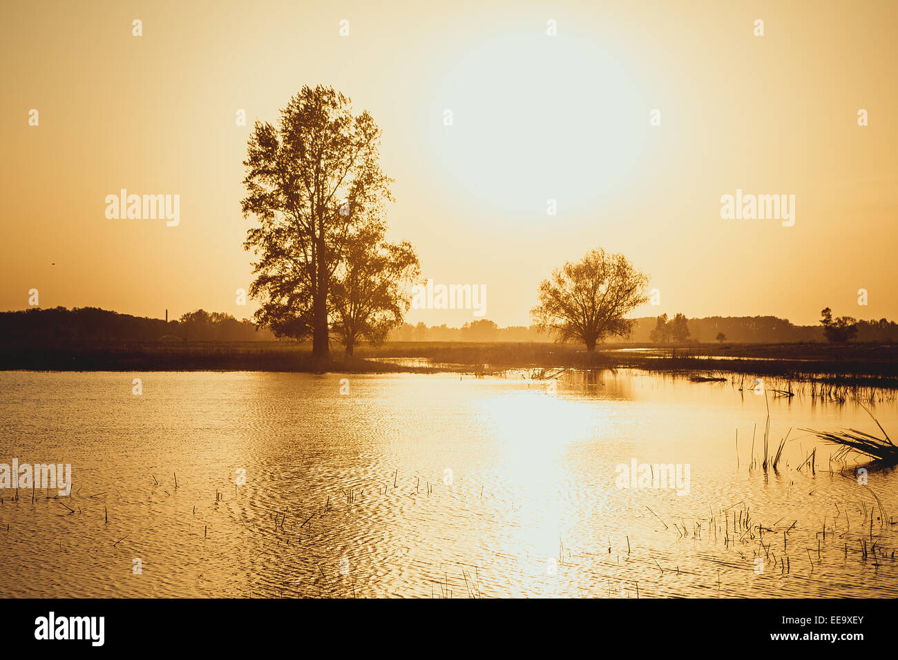 Beautiful sunset over the forest lake Stock Photo - Alamy